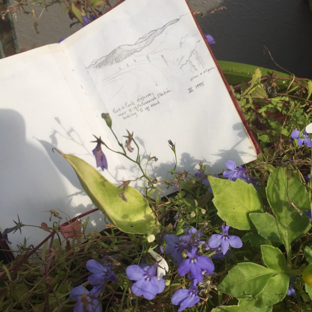 Peak to Peak Highway in Colorado