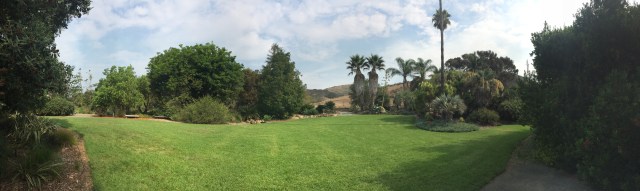 Leaning Pine Arboretum Photo by Heather O'Connor