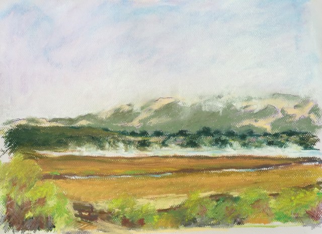 Steaming Pickleweed Marshes Pastel 12"x16"