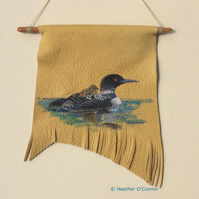 Common Loon with chick on elk hide