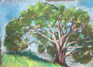 On Canson Mi-Teintes paper